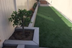 Planter-and-turf