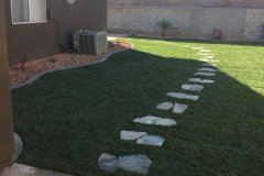 Tall-fescue-sod-and-steeping-stones